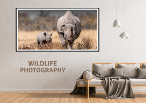 stampe Fine Art di Wildlife