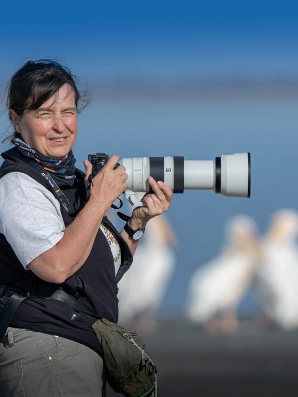 fotografa in Namibia con Sony 100/400 g